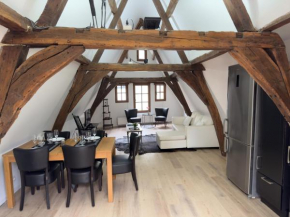 Loft with big terrace city center MEIR